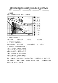 湖北省武汉市武昌区2023届高三年级1月质量检测地理试卷(含答案)