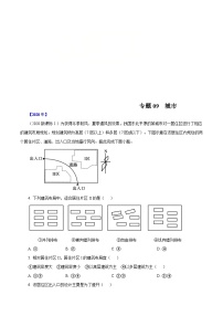 2010年-2020年地理高考真题分类汇编专题09  城市（解析版）