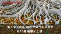 第18讲 植被和土壤(课件)-高考地理一轮复习讲练测(新教材新高考)