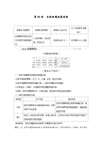 (新高考)高考地理一轮复习精品讲与练第20讲 自然环境的整体性 (含详解)