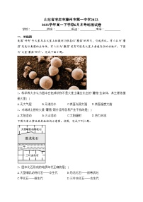 山东省枣庄市滕州市第一中学2022-2023学年高一下学期6月月考地理试卷（含答案）