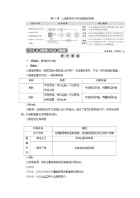 高考地理一轮考点讲练复习 第13讲　山地的形成与河流地貌的发育 (含解析)