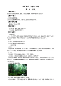 高中地理人教版 (2019)必修 第一册第一节 植被优秀教学设计
