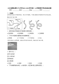 山东省青岛第十九中学2022-2023学年高一上学期期中考试地理试卷（含答案）