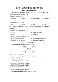 高中地理中图版 (2019)必修 第一册第二单元 自然地理要素及现象第六节 土壤的主要形成因素精品巩固练习