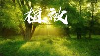 高中第一节 植被集体备课ppt课件