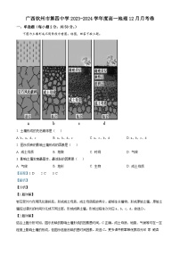 广西钦州市第四中学2023-2024学年高一上学期12月月考地理卷（解析版）