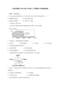 上海市黄浦区2023-2024学年高二上册期中考试地理试卷（附答案）