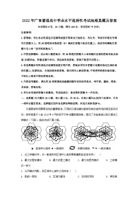 2022年广东普通高中学业水平选择性考试地理真题及答案