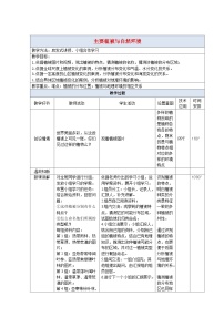 湘教版 (2019)必修 第一册第一节 主要植被与自然环境教案及反思