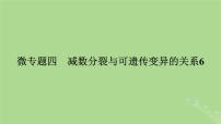 2025版高考生物一轮总复习必修1微专题4减数分裂与可遗传变异的关系课件