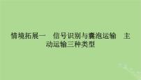 2025版高考生物一轮总复习必修1情境拓展1信号识别与囊泡运输主动运输三种类型课件