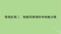 2025版高考生物一轮总复习必修1情境拓展3细胞周期调控和细胞自噬课件