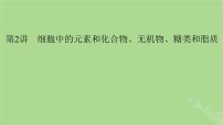 2025版高考生物一轮总复习必修1第1单元走近细胞和组成细胞的分子第2讲细胞中的元素和化合物无机物糖类和脂质课件