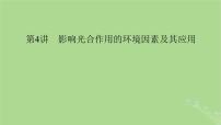 2025版高考生物一轮总复习必修1第3单元细胞的能量供应和利用第4讲影响光合作用的环境因素及其应用课件