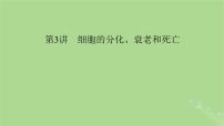 2025版高考生物一轮总复习必修1第4单元细胞的生命历程第3讲细胞的分化衰老和死亡课件