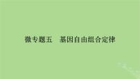 2025版高考生物一轮总复习必修2微专题5基因自由组合定律课件