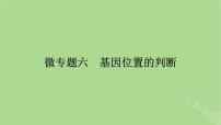 2025版高考生物一轮总复习必修2微专题6基因位置的判断课件