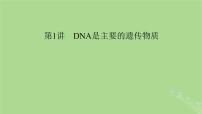 2025版高考生物一轮总复习必修2第6单元遗传的分子基础第1讲DNA是主要的遗传物质课件