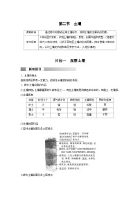 高中地理人教版 (2019)必修 第一册第五章 植被与土壤第二节 土壤精品学案