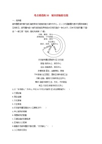 适用于新高考新教材新疆专版2024届高考地理一轮总复习考点规范练36城市的辐射功能