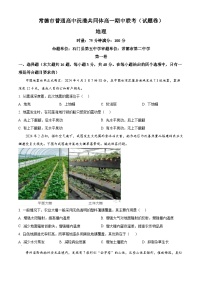 湖南省常德市沅澧共同体2023-2024学年高一下学期期中考试地理试题（原卷版+解析版）