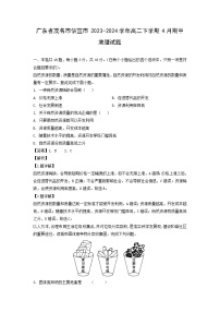 广东省茂名市信宜市2023-2024学年高二下学期4月期中地理试卷（解析版）