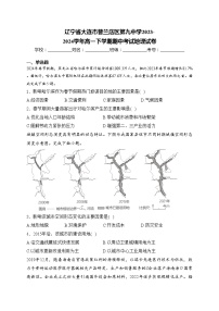 辽宁省大连市普兰店区第九中学2023-2024学年高一下学期期中考试地理试卷(含答案)