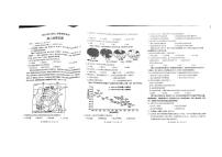 河北省邢台市四校联考2023-2024学年高二下学期期末地理试题