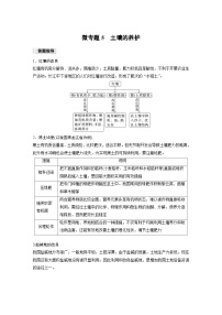 高中地理人教版 (2019)必修 第一册第二节 土壤当堂检测题