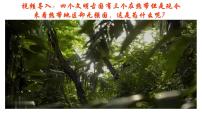 人教版高中地理高三一轮复习第三章第4讲气压带和风带课件（共3课时内含视频）