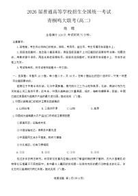 河南省青桐鸣大联考2024-2025学年高二上学期开学考试地理试题（Word版附答案）