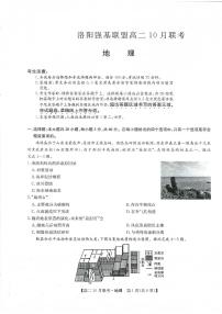 九师洛阳强基联盟2023-2024学年高二上学期10月联考地理试卷及答案