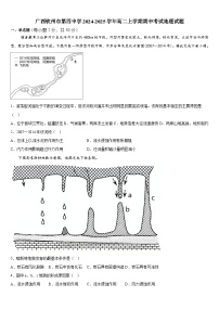 广西钦州市第四中学2024-2025学年高二上学期期中考试地理试题