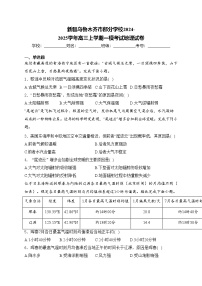 新疆乌鲁木齐市部分学校2024-2025学年高三上学期一模考试地理试卷(含答案)