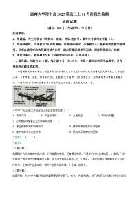 重庆市西南大学附属中学2024-2025学年高三上学期11月阶段性检测地理试卷（Word版附解析）