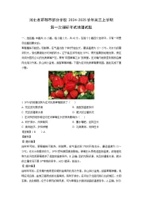 河北省邯郸市部分学校2024-2025学年高三上学期第一次调研考试地理试卷[解析版]