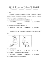 海南省天一联考2024-2025学年高三上学期一模地理试题