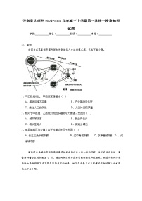 云南省大理州2024-2025学年高三上学期第一次统一检测地理试题