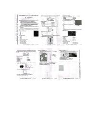 吉林省松原市实验高级中学2024-2025学年高一上学期期中考试地理试题