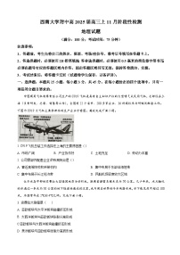 2025重庆市西南大学附中高三上学期11月阶段性检测试题地理含答案