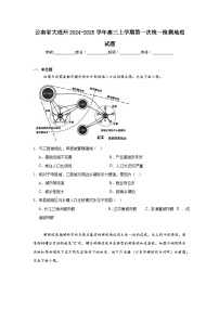 云南省大理州2024-2025学年高三上学期第一次统一检测地理试题