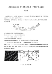 天津市河北区2024-2025学年高二上学期11月期中地理试题