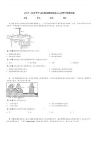 2024～2025学年山东青岛黄岛区高三(上)期中地理试卷[原题+解析]