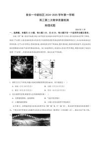 山东省泰安第一中学2025届高三(上)11月月考地理试卷(含答案)