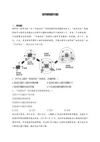 2025届高中地理一轮复习基础知识专题练： 城市的辐射功能