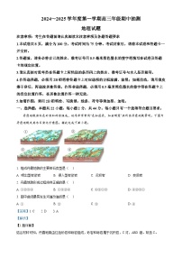 江苏省徐州市2024-2025学年高三上学期11月期中考试地理试卷（Word版附答案）