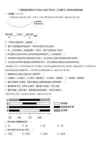 广西钦州市第四中学2024-2025学年高二上学期11月考试地理试题