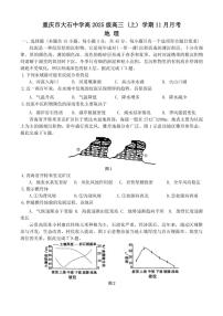 重庆市合川大石中学2024～2025学年高三(上)11月月考地理试卷(含答案)