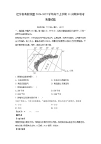 2024-2025学年辽宁省名校联盟高二(上)11月期中联考地理试卷（解析版）